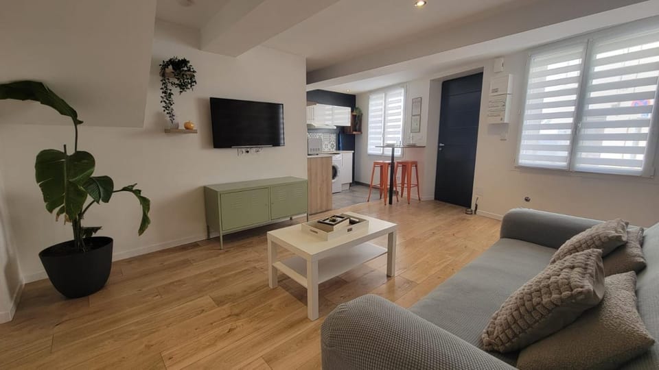 Le Saint-Roch - Port De Castelnaudary Apartment in Castelnaudary
