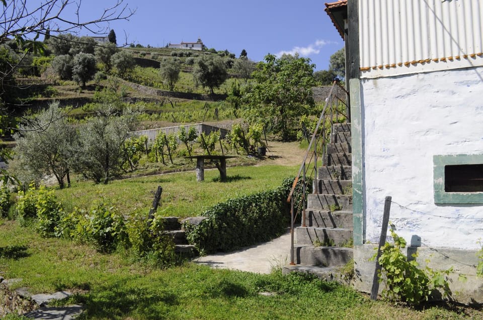 Quinta Vintage - Biológica Country House in Vila Real District