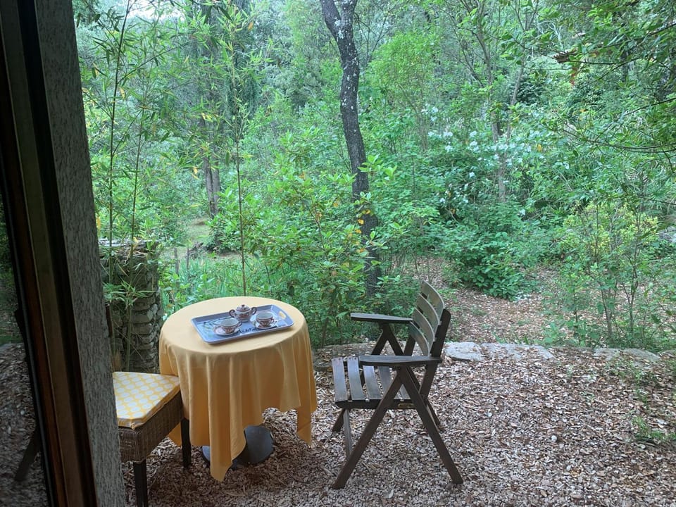 Patio, Garden view