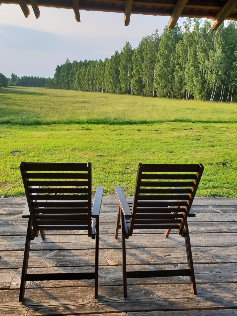 Patio, Spring, Day, Natural landscape, Garden, Garden view