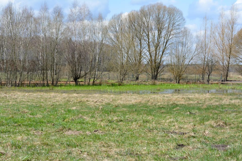 Spring, Day, Natural landscape, Garden, Garden view
