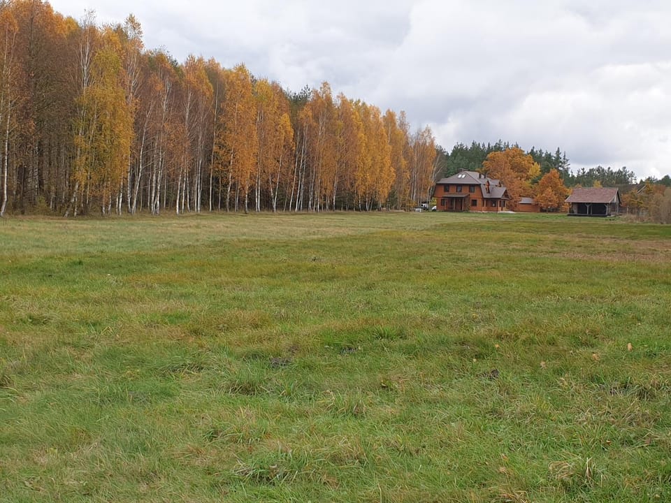 Natural landscape