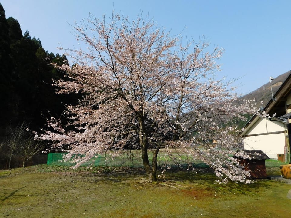 Nouka Minsyuku Hyousa Farm Stay in Tokyo Prefecture