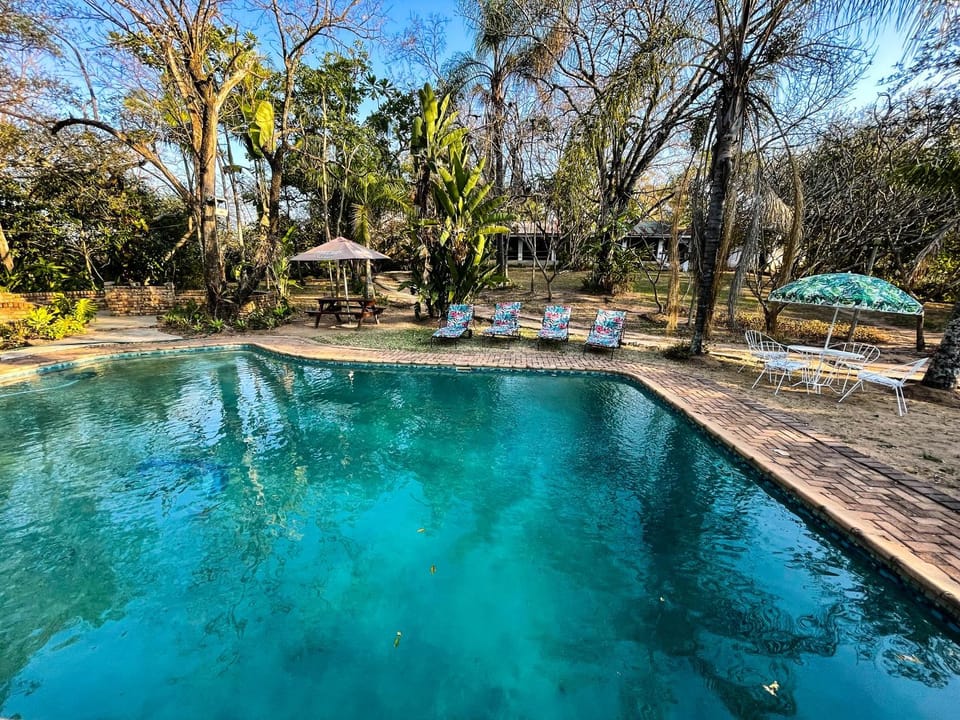 Swimming pool, Swimming pool