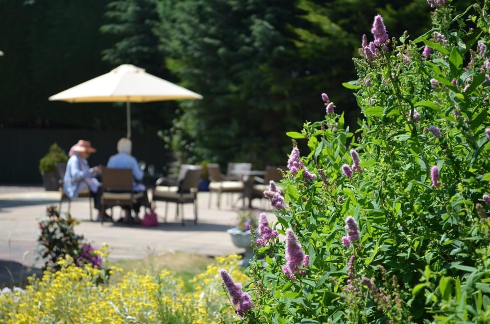 Garden, Garden view