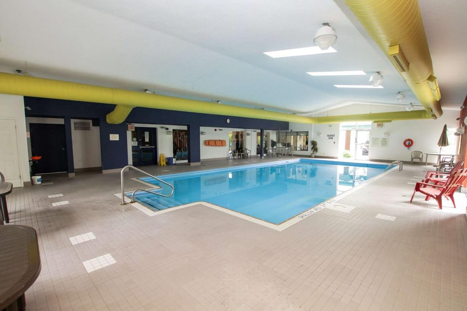 Swimming pool, Swimming pool