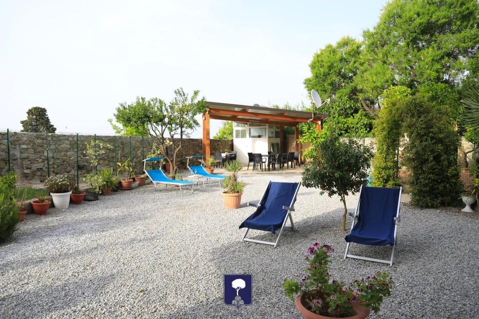Garden, sunbed