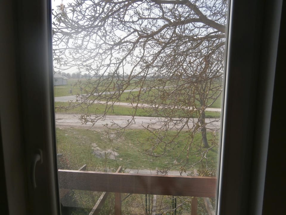 Balcony/Terrace, Garden view