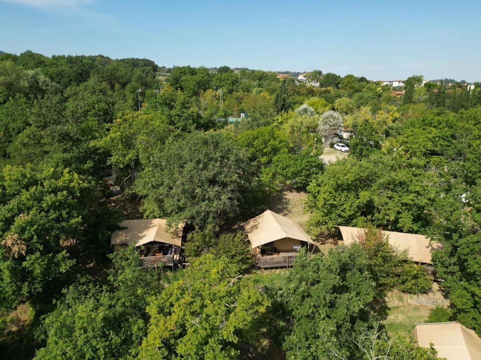 Property building, Bird's eye view