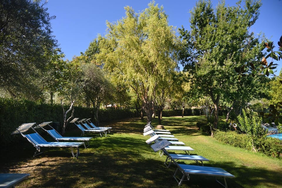 Summer, Garden view, Swimming pool, sunbed