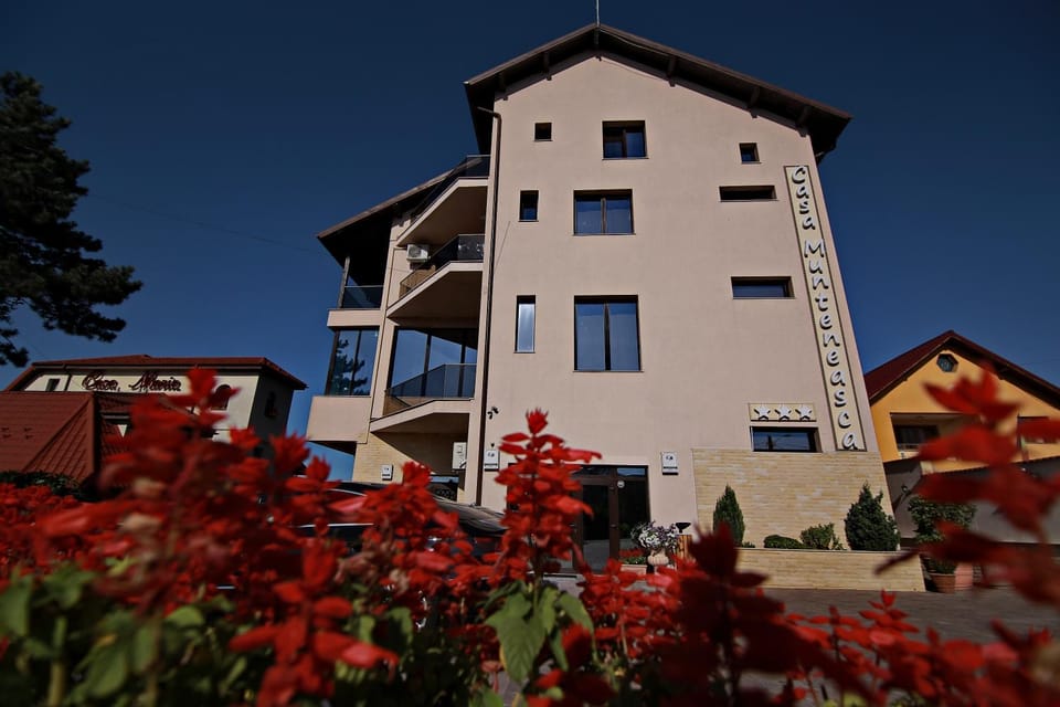 Hotel Casa Muntenească Alessandro Bed and Breakfast in Romania