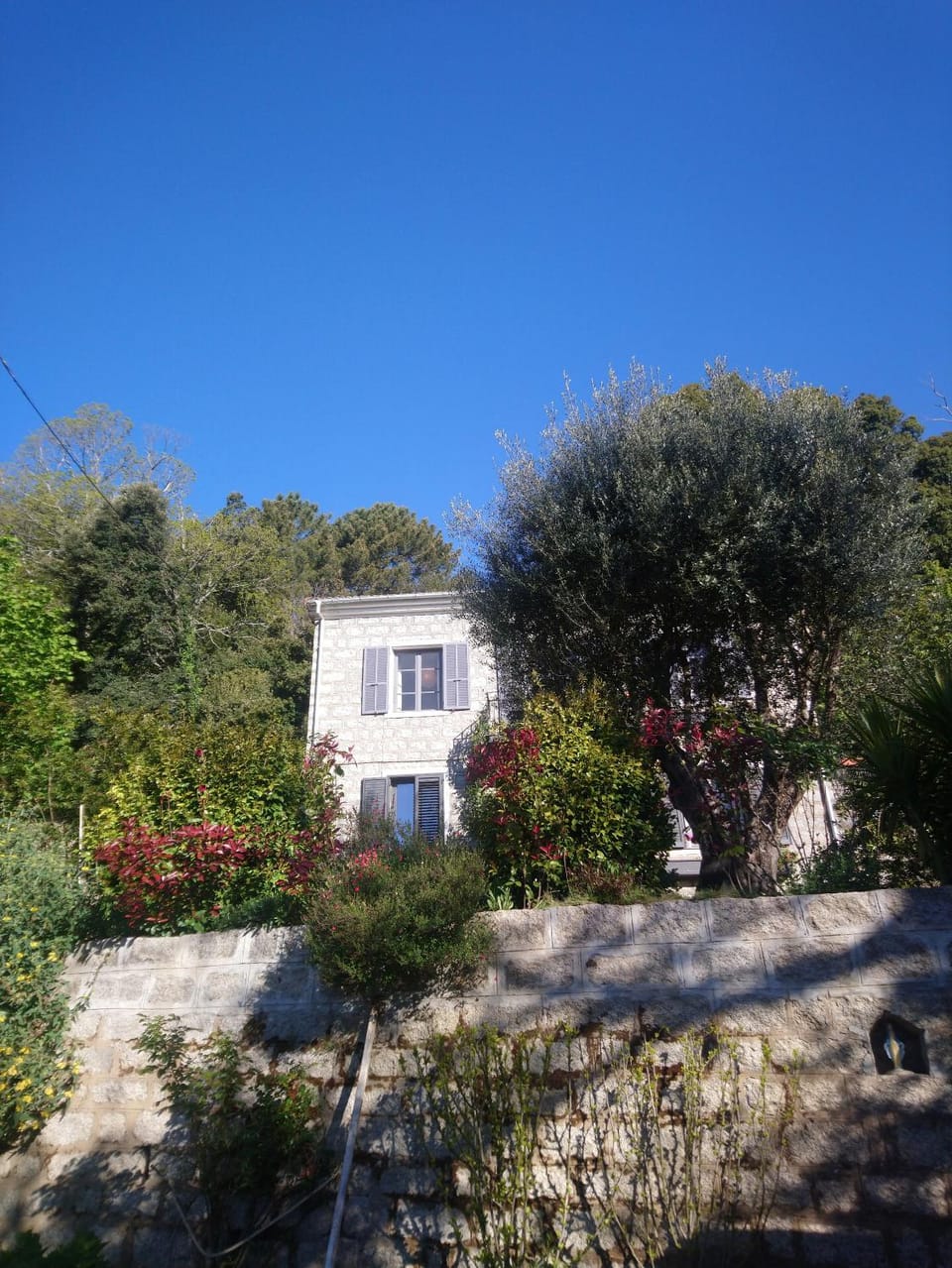 Casa tanghicciola Apartment in Corsica