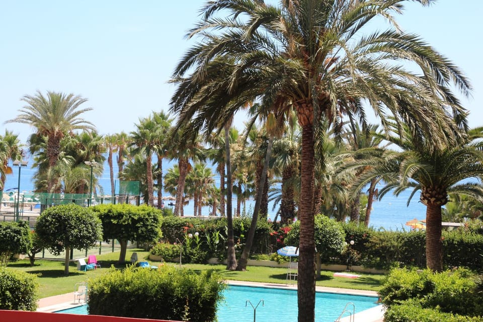 Garden, Swimming pool