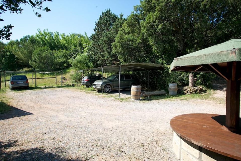 Garden, Area and facilities