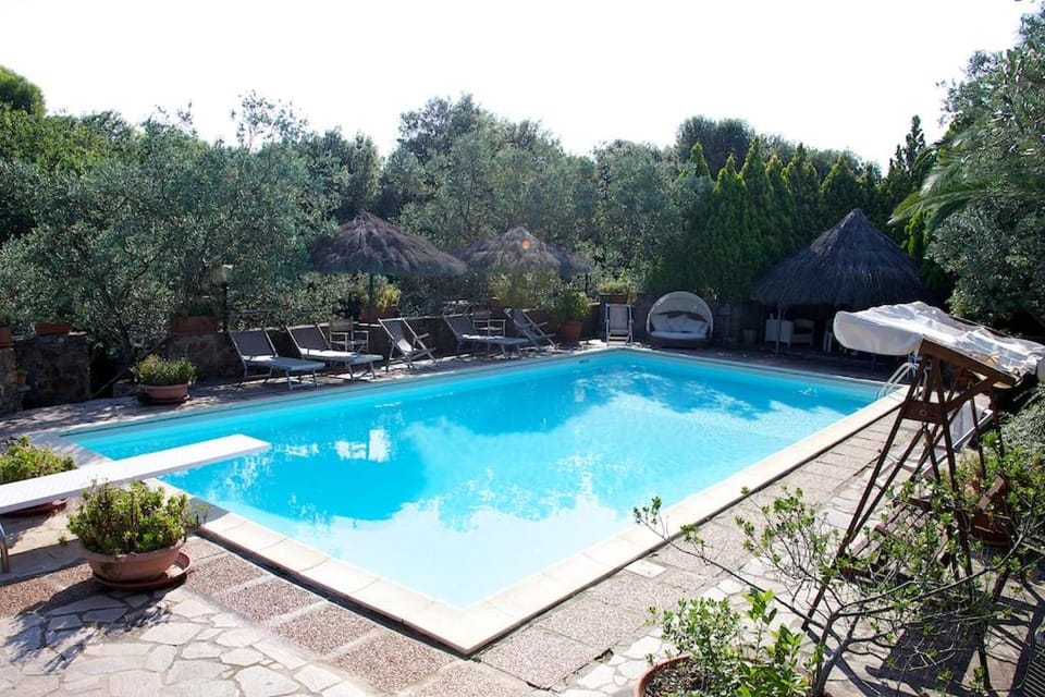 Solarium, Pool view, Swimming pool, Swimming pool