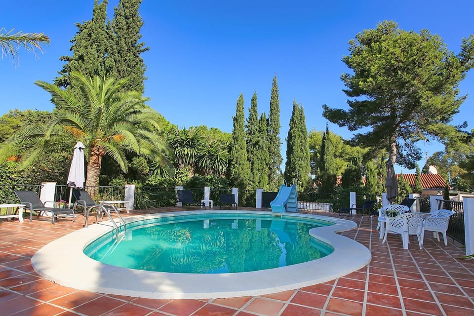 Spring, Day, Natural landscape, Garden, Garden view, Pool view, Swimming pool, sunbed