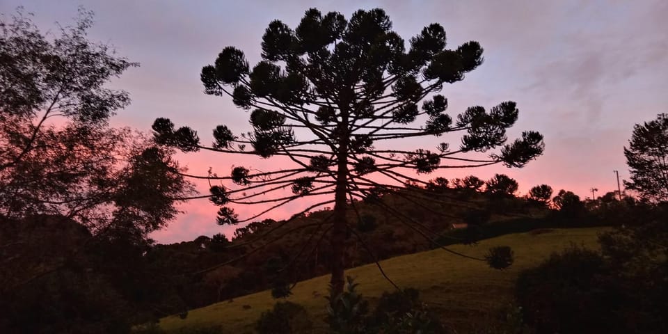 Natural landscape