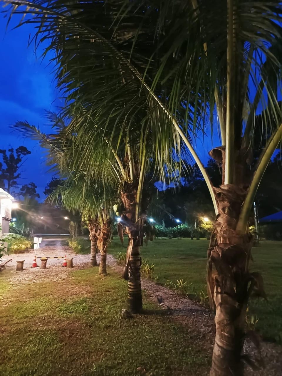 Outworld Basecamp Campground/ 
RV Resort in Perak