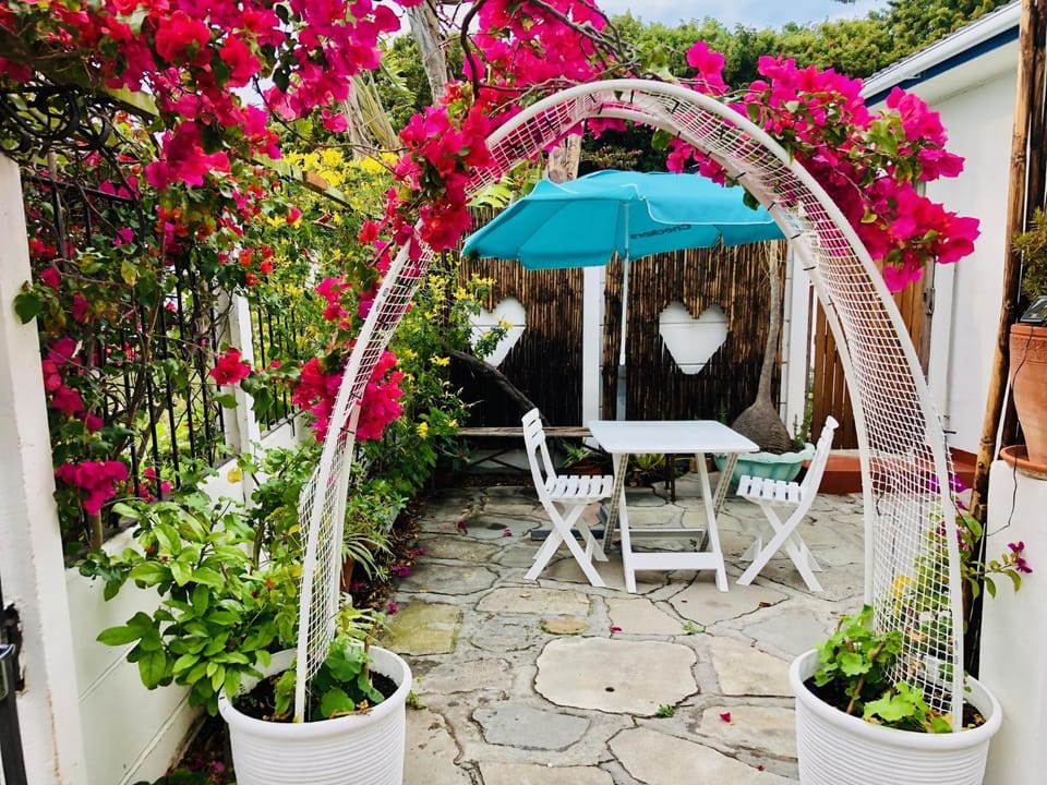 Patio, Spring, Day, Garden, Garden, Balcony/Terrace, Garden view