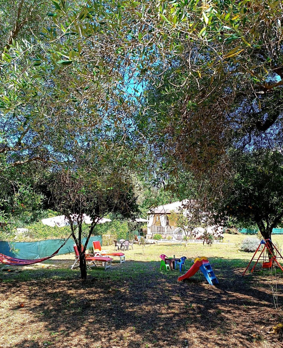 Natural landscape, Children play ground, Garden, Garden view