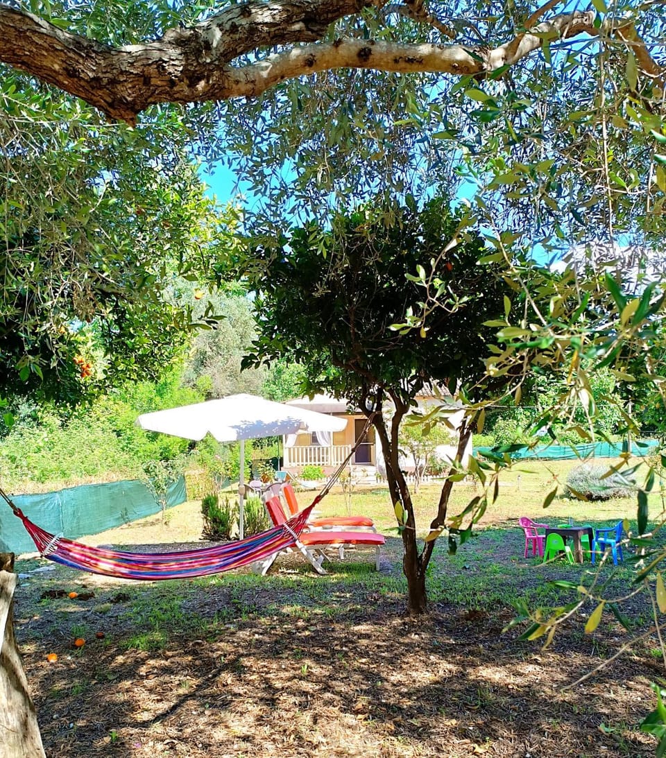 Day, Natural landscape, Garden, Garden view