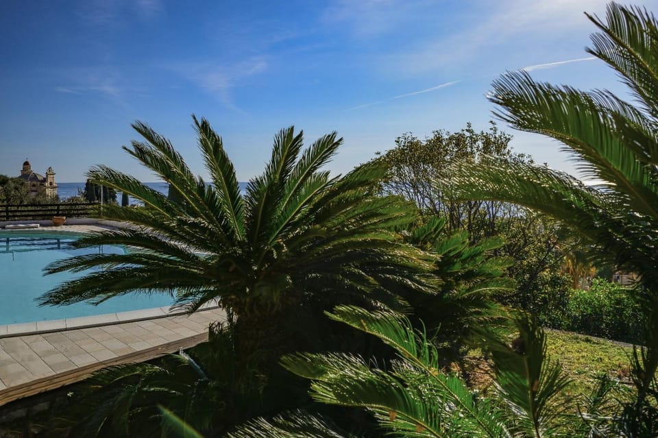 Summer, City view, Garden view, Pool view, Swimming pool