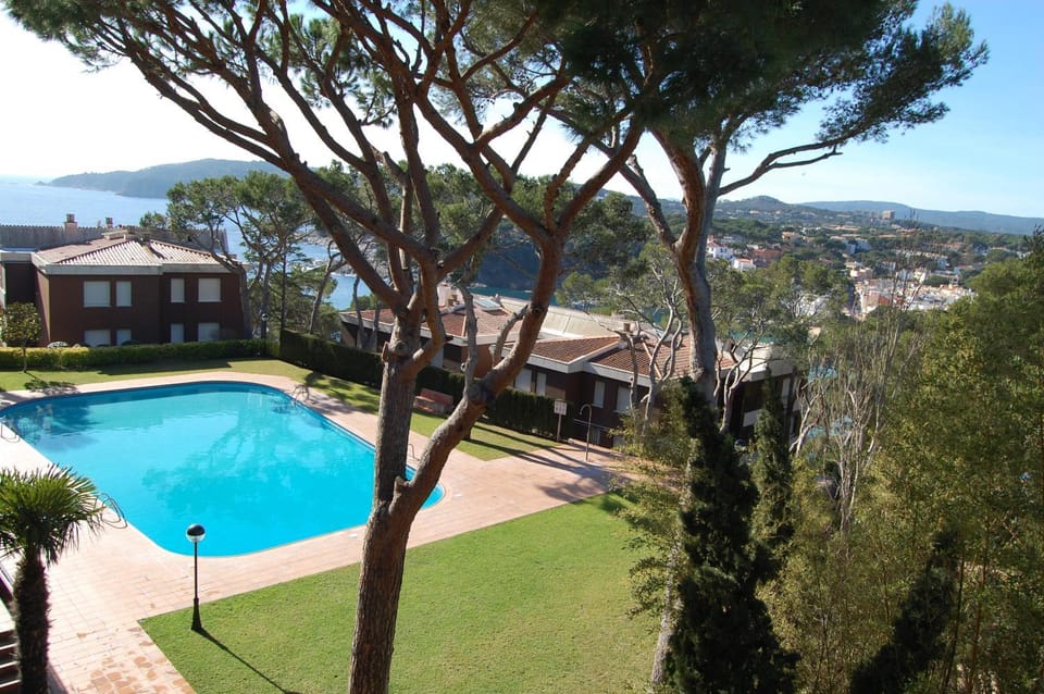 Pool view, Swimming pool