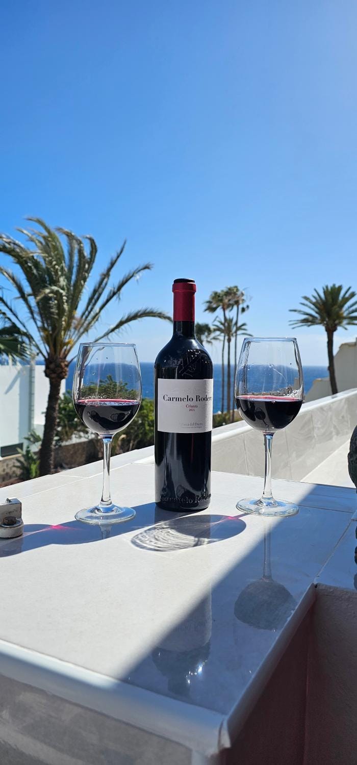 Wonderful Sea Views by Vapagó Tenerife Apartment in Costa del Silencio