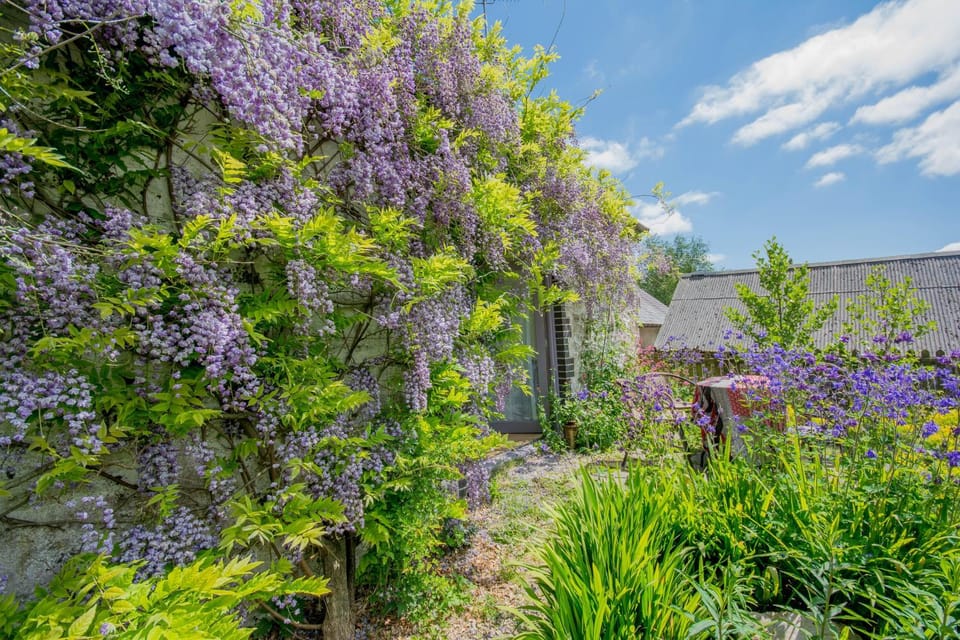 The Rose Barn, Ysgubor y Rhosyn House in Wales
