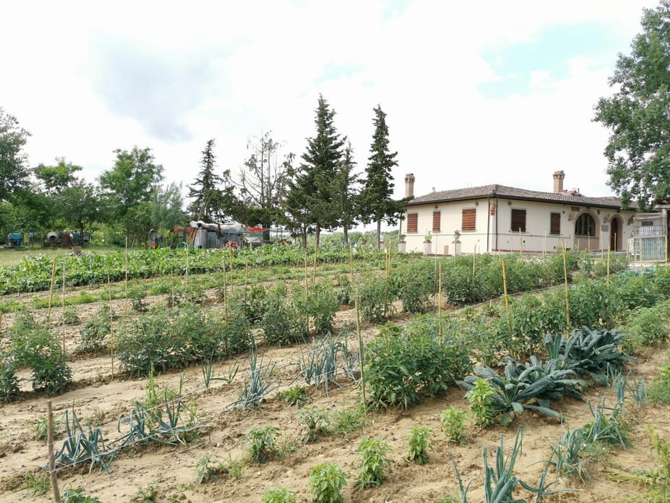 Property building, Natural landscape