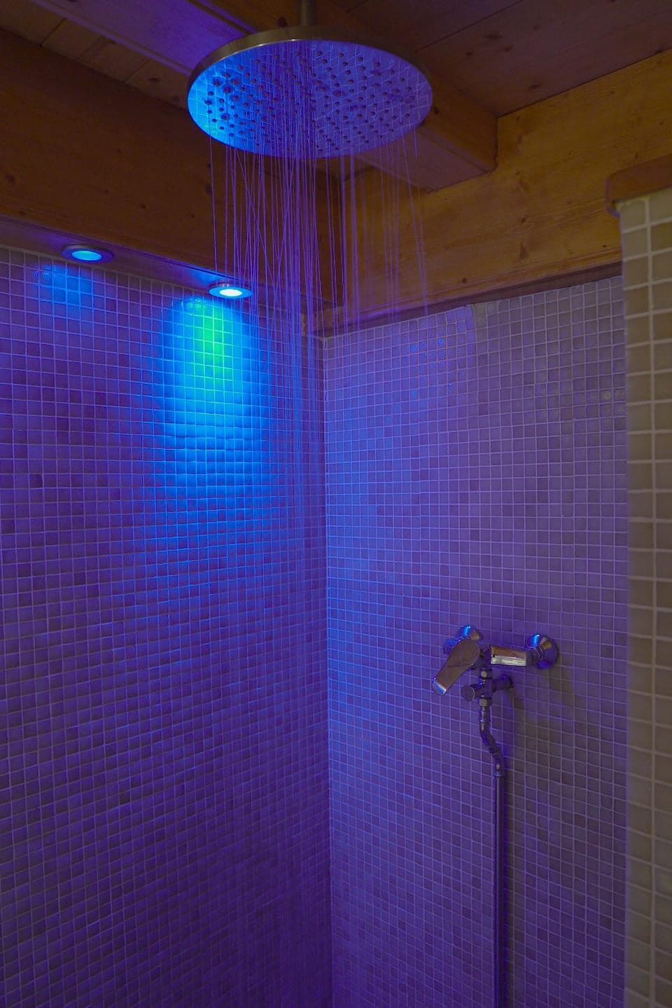 Shower