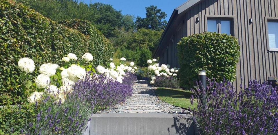 Le Petit Moussis Chalet in Wallonia, Belgium
