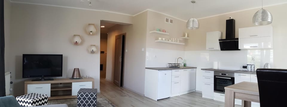Kitchen or kitchenette, Dining area, oven, stove