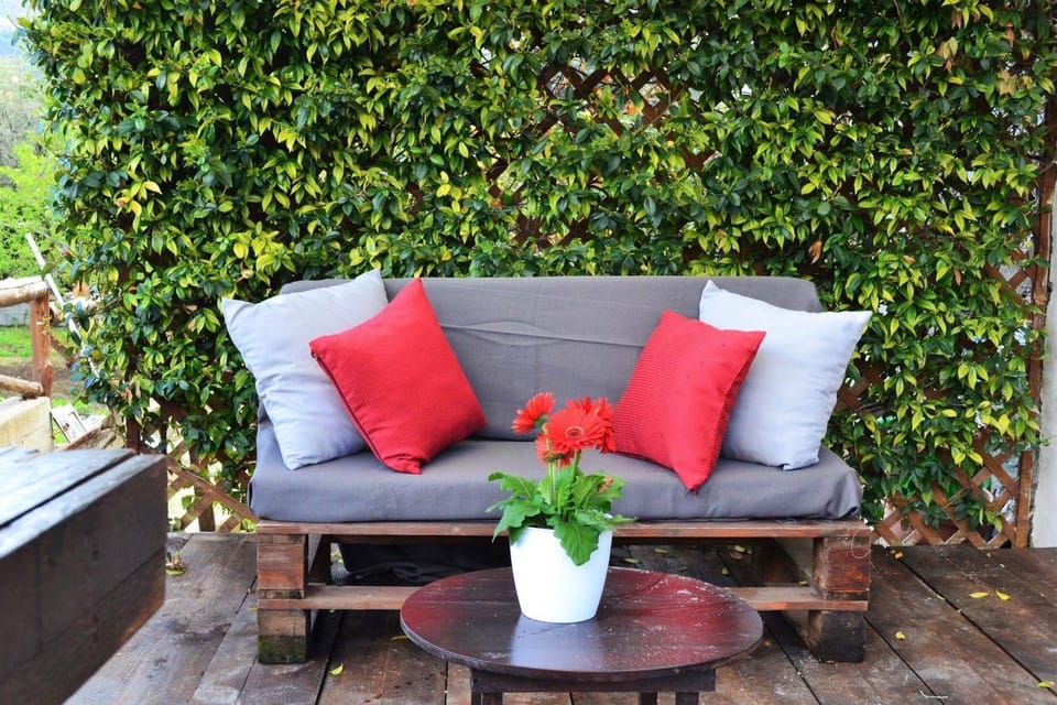 Patio, Garden, Living room, Garden view