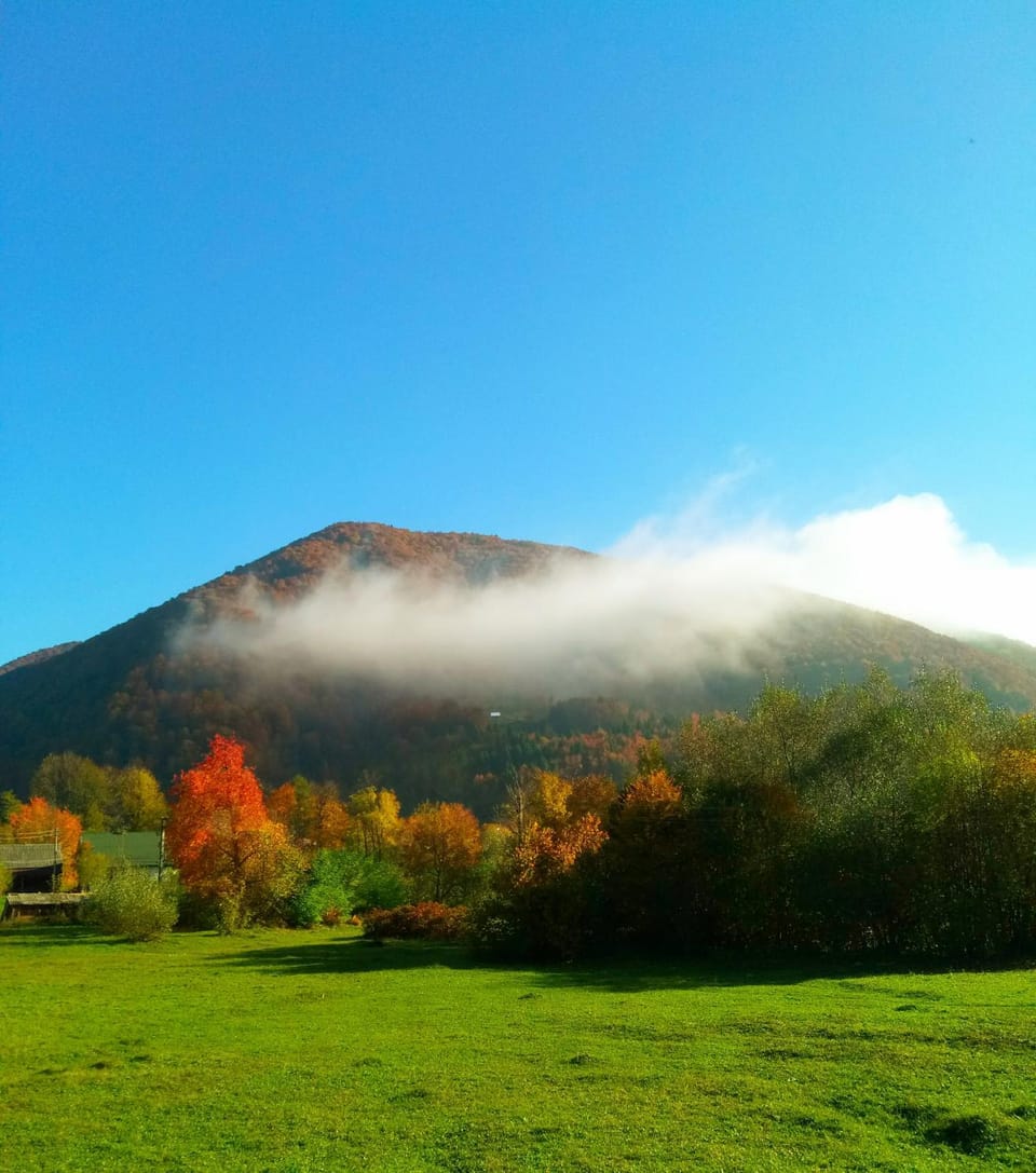 Mountain view