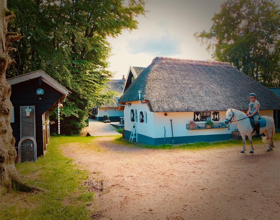 Bakhuisje op de Veluwe House in Epe
