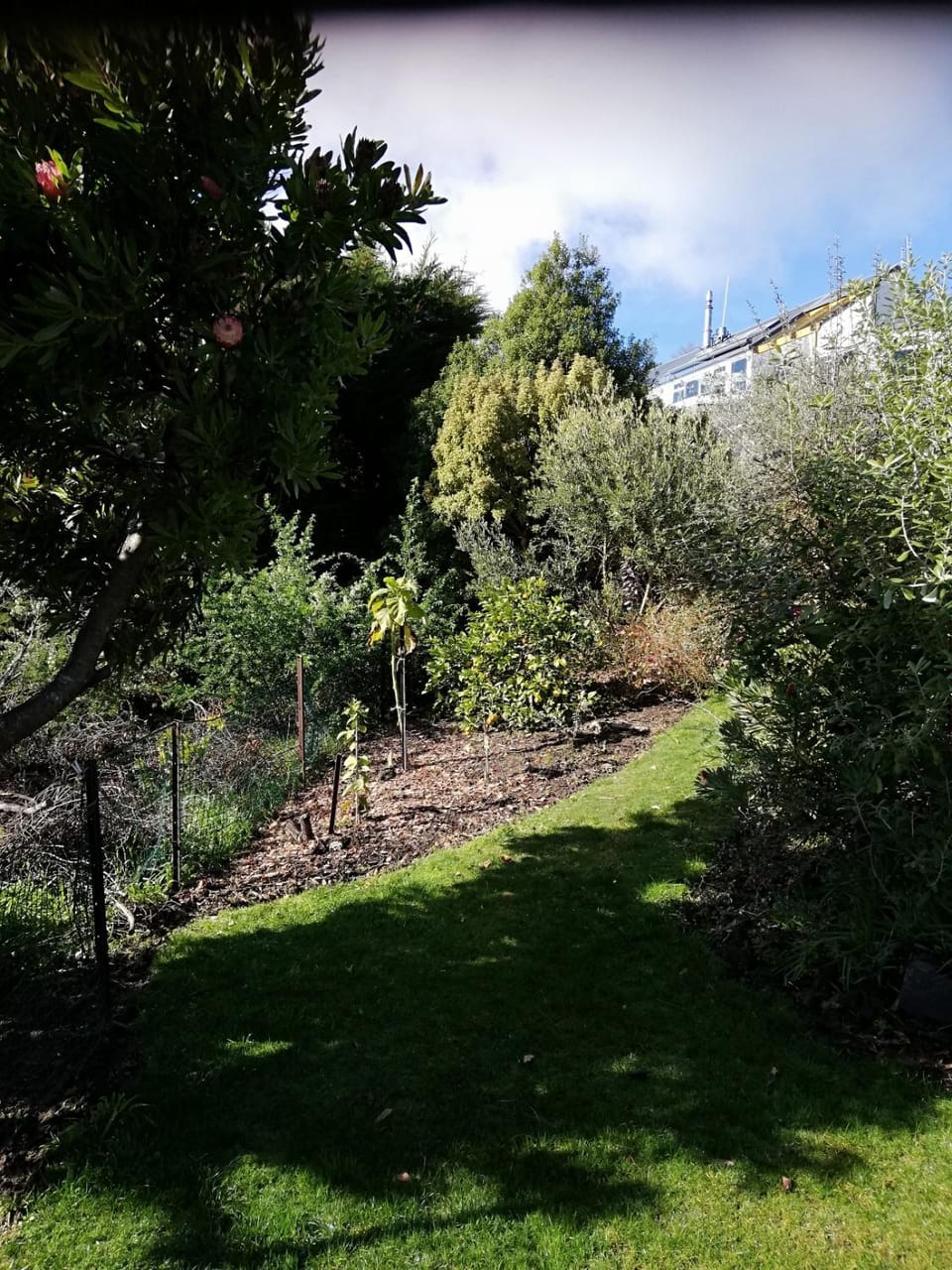 Natural landscape, Garden