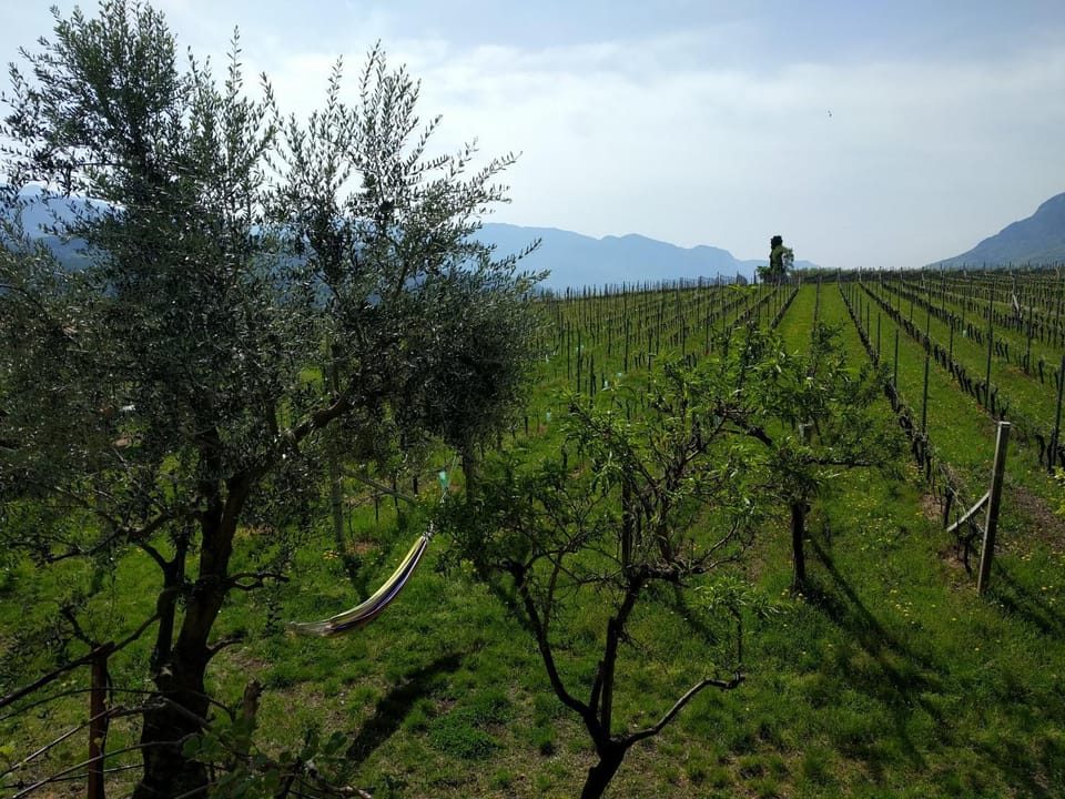 Natural landscape