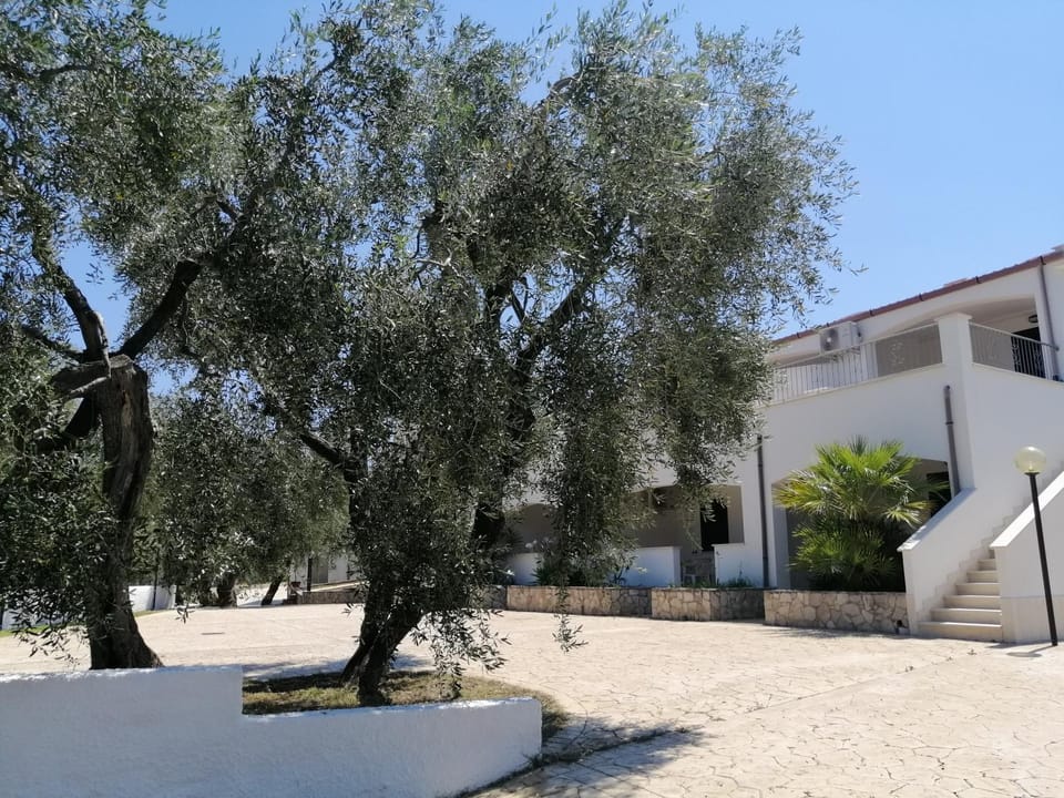 Property building, Neighbourhood
