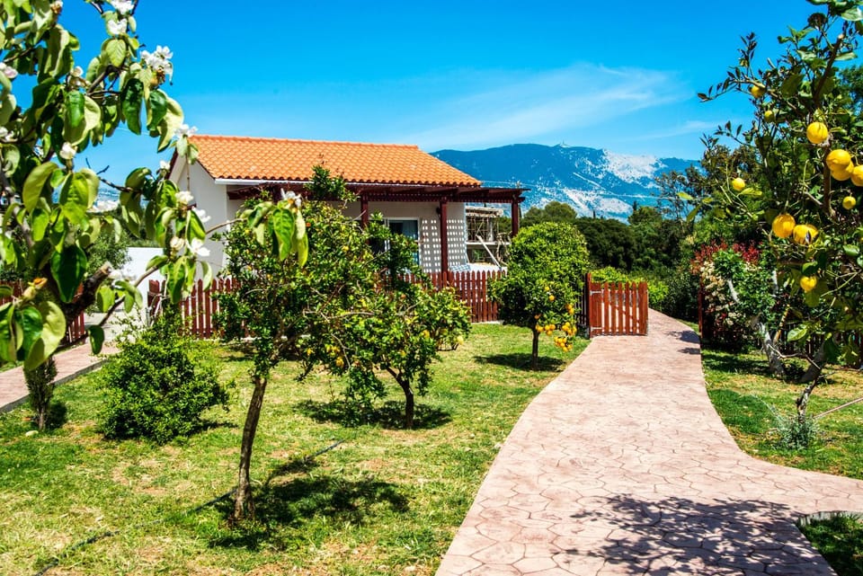 Property building, Garden