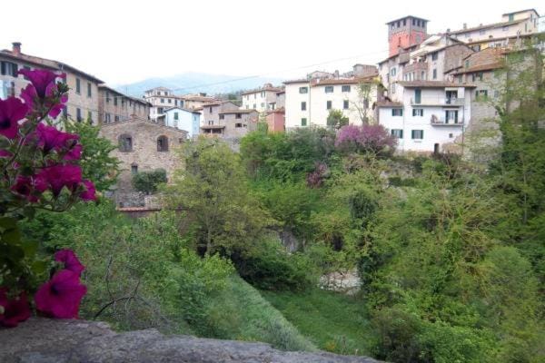 Day, City view, River view
