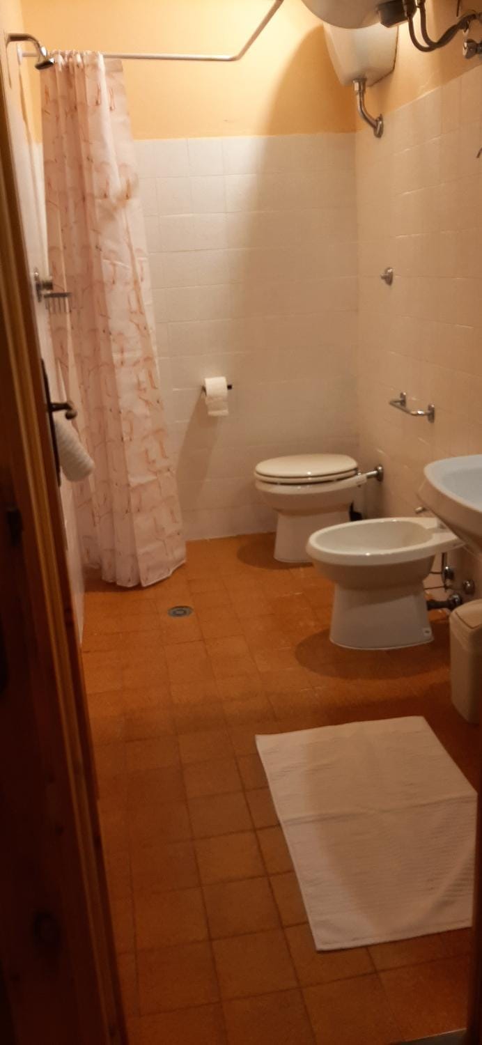 Shower, Toilet, Bathroom, bidet