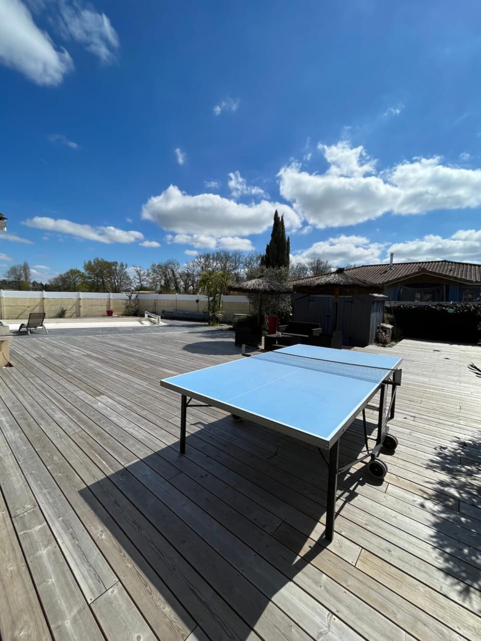 Table tennis