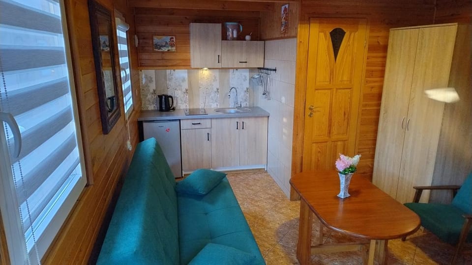 Kitchen or kitchenette, Living room, Seating area, stove