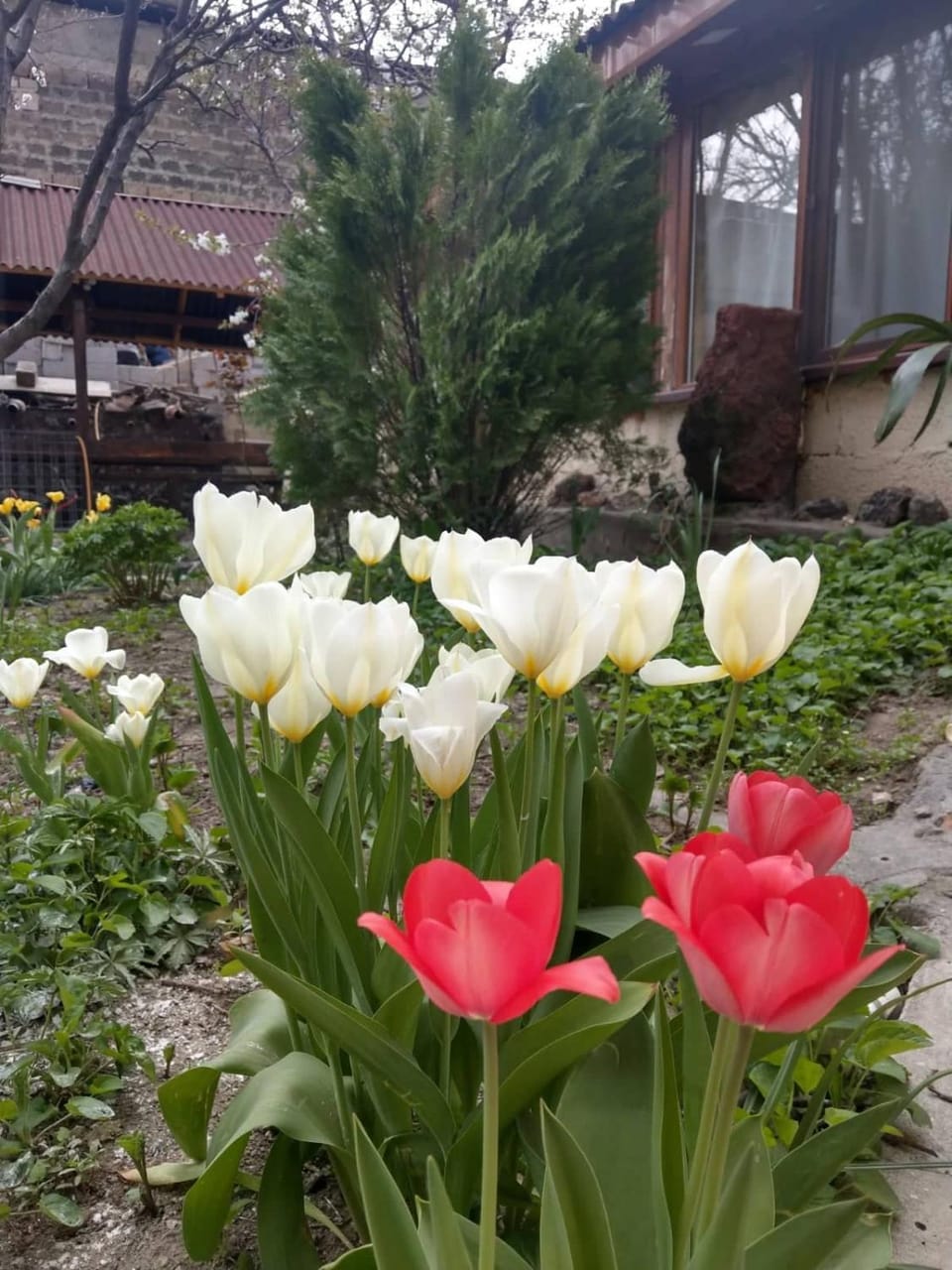 Li Yes Yerevan hotel Bed and Breakfast in Yerevan