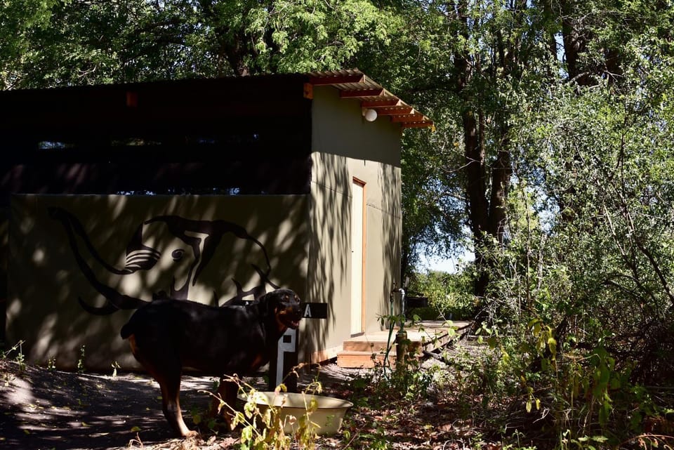 Phazama Farm Chalet in Africa