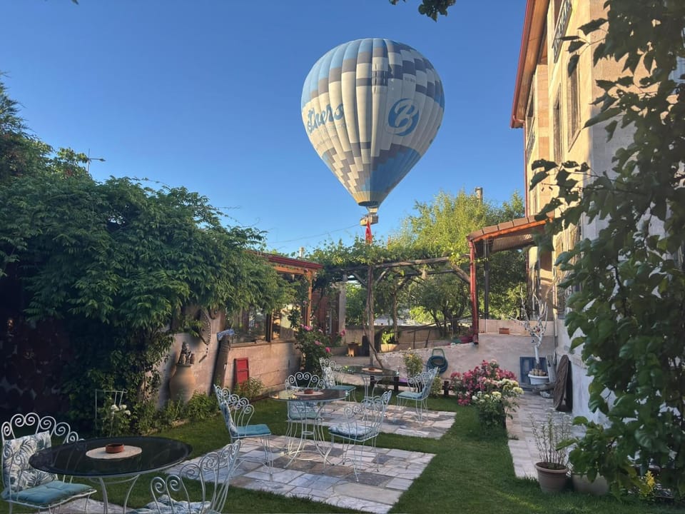 Garden, Garden view, Garden view