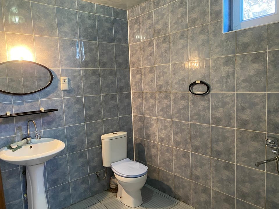 Lux-2-or-1- persons Irodion Evdoshvili Street #15 Bed and Breakfast in Georgia