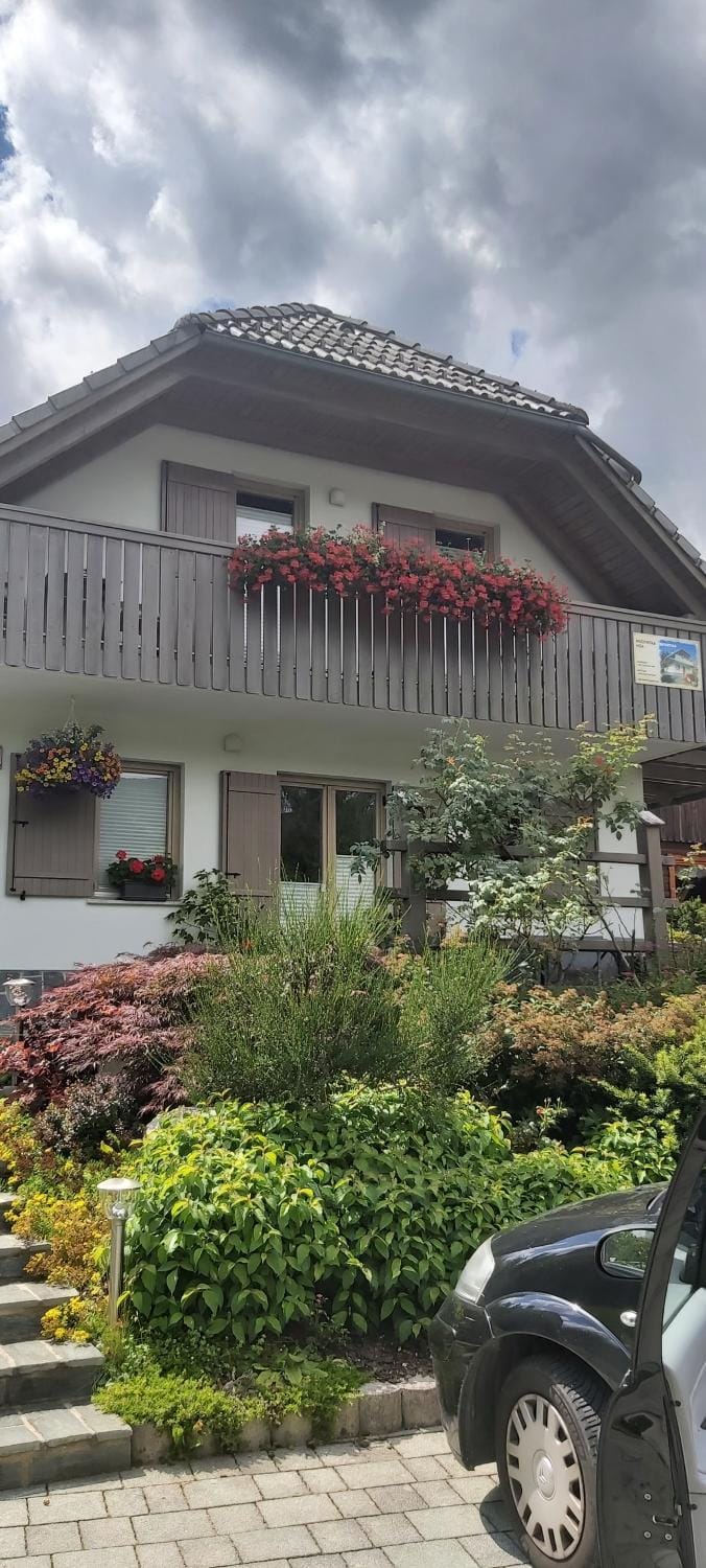 Apartma LODI BOHINJ Za dve,štiri, šest, ali osem oseb House in Friuli-Venezia Giulia