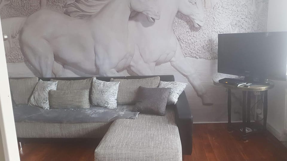 Living room, Photo of the whole room, Decorative detail, Seating area, Bedroom